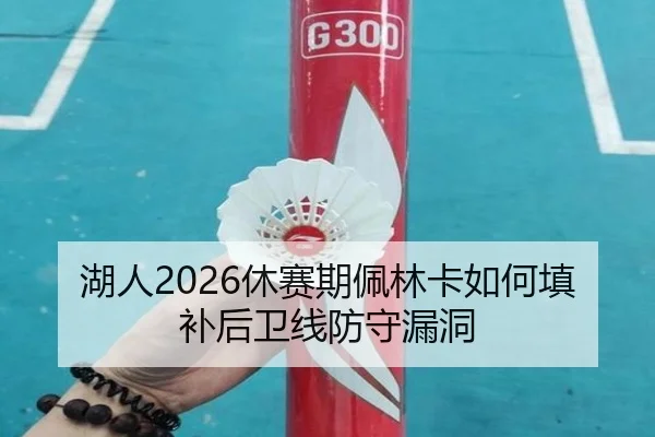 湖人2026休赛期佩林卡如何填补后卫线防守漏洞